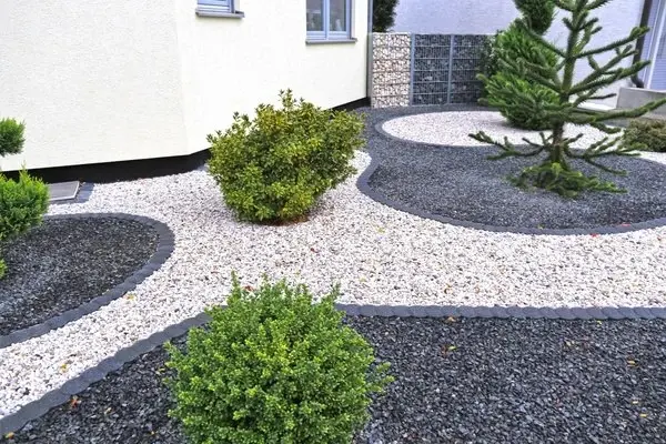 Professional lawn care services