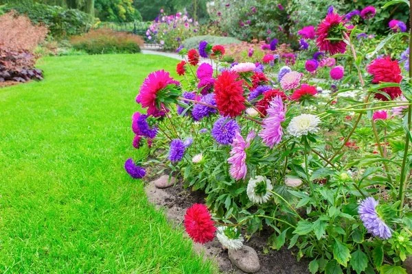 Reliable lawn care service