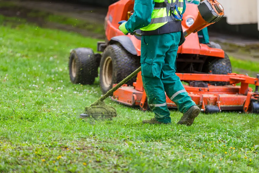 Affordable Lawn Mowing Los Angeles, CA
