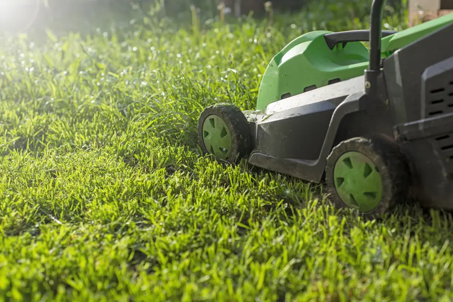 Essential Lawn Mowing Techniques For An Even Finish in Los Angeles, CA