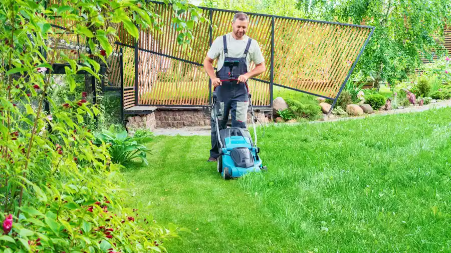 Excellent Lawn Mowing Los Angeles, CA