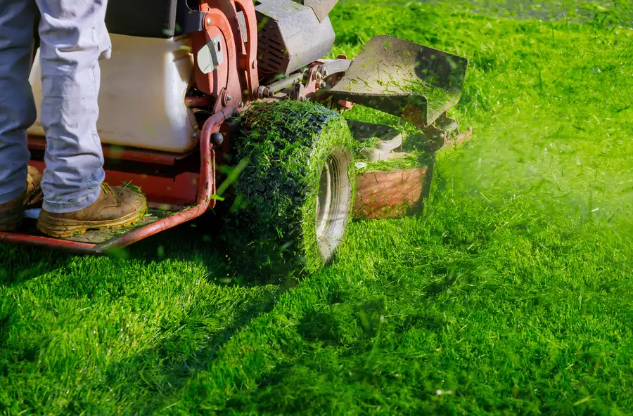 Experienced Lawn Mowing Los Angeles, CA