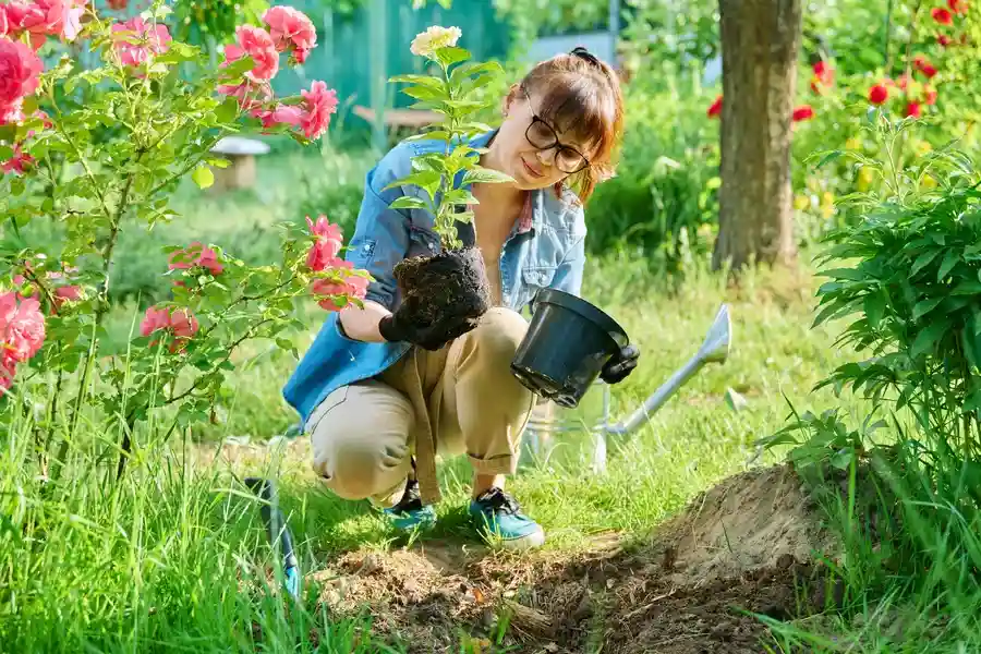 How Gardening Services Help Maintain Healthy Flower Beds Los Angeles, CA