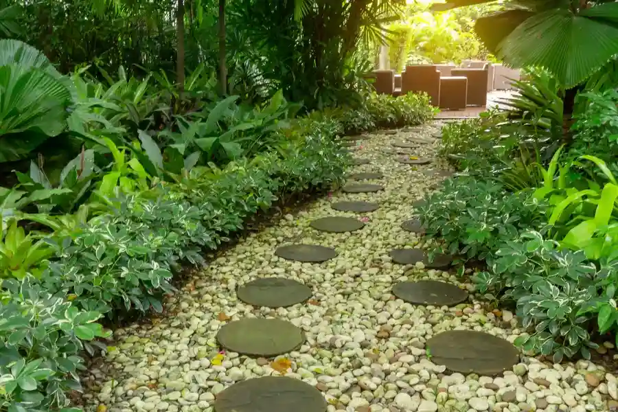 The Value Of Expert Gardening Services For Garden Design in Los Angeles, CA